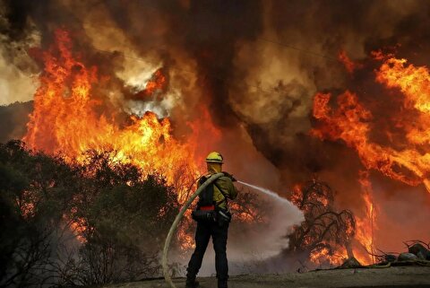 محیطزیست درباره جنگلهای الیت: هنوز درگیر آتش هستیم/ میزان خسارت درختان سوخته، حدود ۲۰ درصد است/ وسعت حریق بین ۱۵۰ تا ۱۸۰ هکتار برآورد میشود/ نوع آتش در این حادثه عمدتاً زیرزمینی بود، به همین دلیل گمراهکننده بود