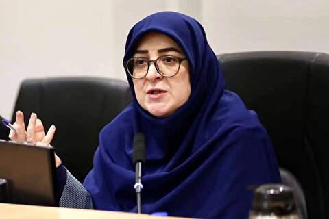 سخنگوی دولت: گزارش وضعیت حجاب به مقام معظم رهبری و رئیسجمهور ارائه شده