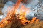 سخنگوی قوه قضائیه: آتش زدن عمدی جنگلها مجازات سنگینی دارد و ۳ تا ۱۰ سال حبس را به دنبال خواهد داشت سخنگوی قوه قضائیه: آتش زدن عمدی جنگلها مجازات سنگینی دارد و ۳ تا ۱۰ سال حبس را به دنبال خواهد داشت