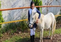 تصاویر: جشنواره زیبایی اسب کاسپین در انزلی