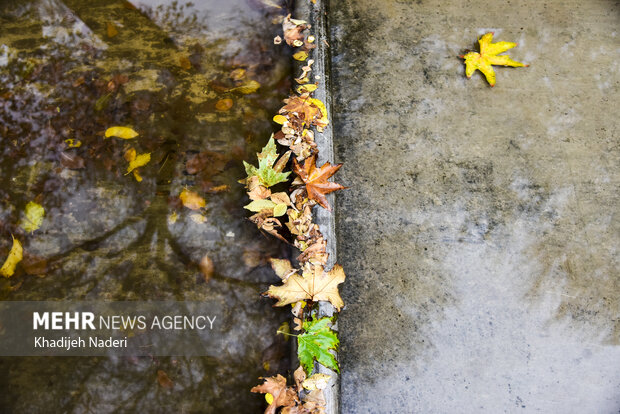 پیش‌بینی بارش‌های پراکنده و رگباری برای لرستان