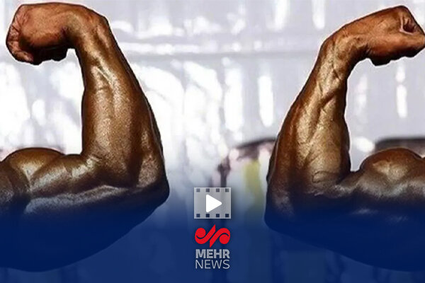 واکنش نصیرزاده به ابطال انتخابات فدراسیون بدنسازی